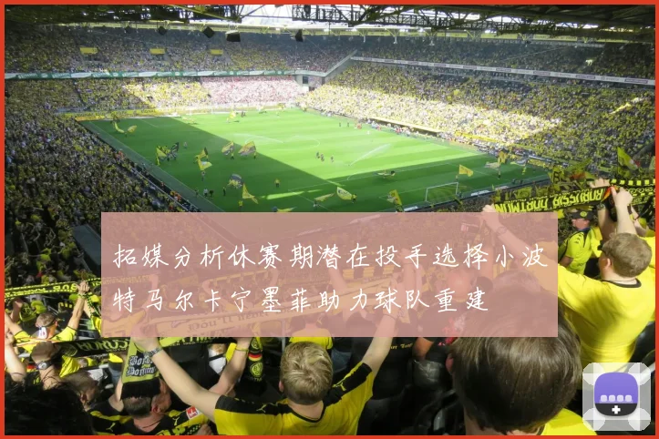拓媒分析休赛期潜在投手选择小波特马尔卡宁墨菲助力球队重建