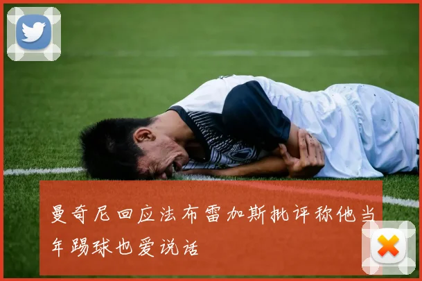 曼奇尼回应法布雷加斯批评称他当年踢球也爱说话