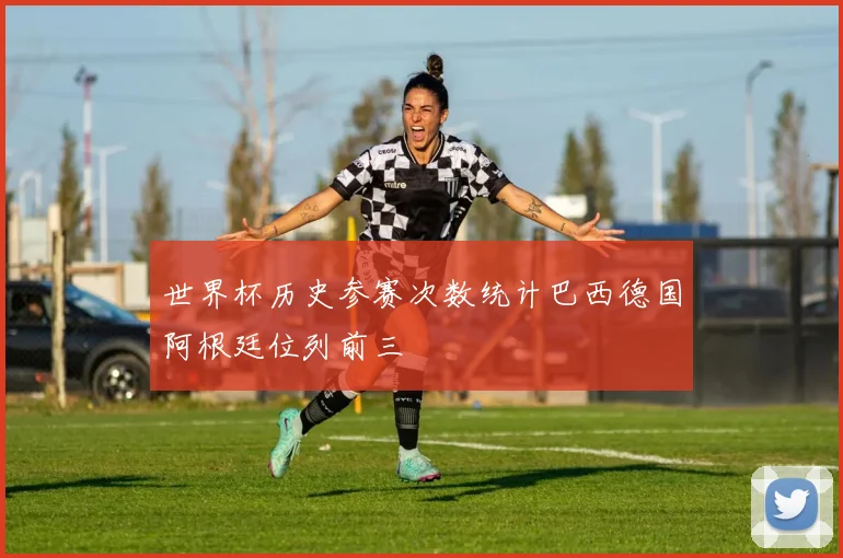 世界杯历史参赛次数统计巴西德国阿根廷位列前三