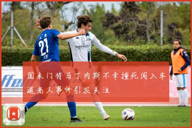 国米门将马丁内斯不幸撞死闯入车道老人事件引发关注